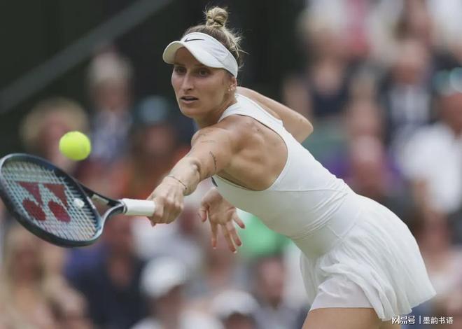 致的展现 致的展现